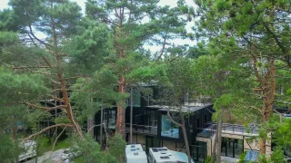 Odpocznij w cieniu sosnowego lasu