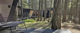 Domki z tarasem z widokiem na las