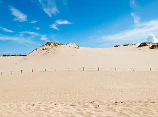 Ruchome Wydmy w Łebie