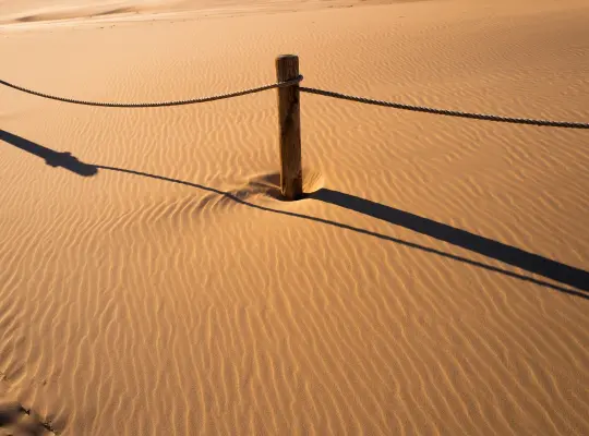 Ruchome Wydmy w Łebie