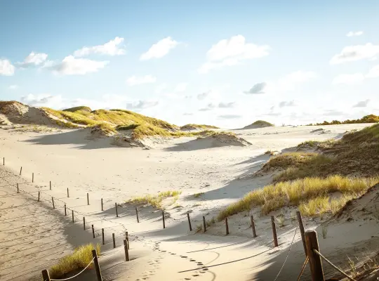 Ruchome Wydmy w Łebie