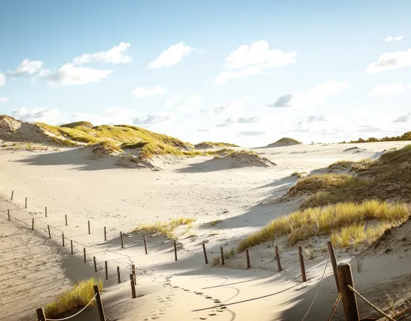 Obraz Ruchome Wydmy w Łebie