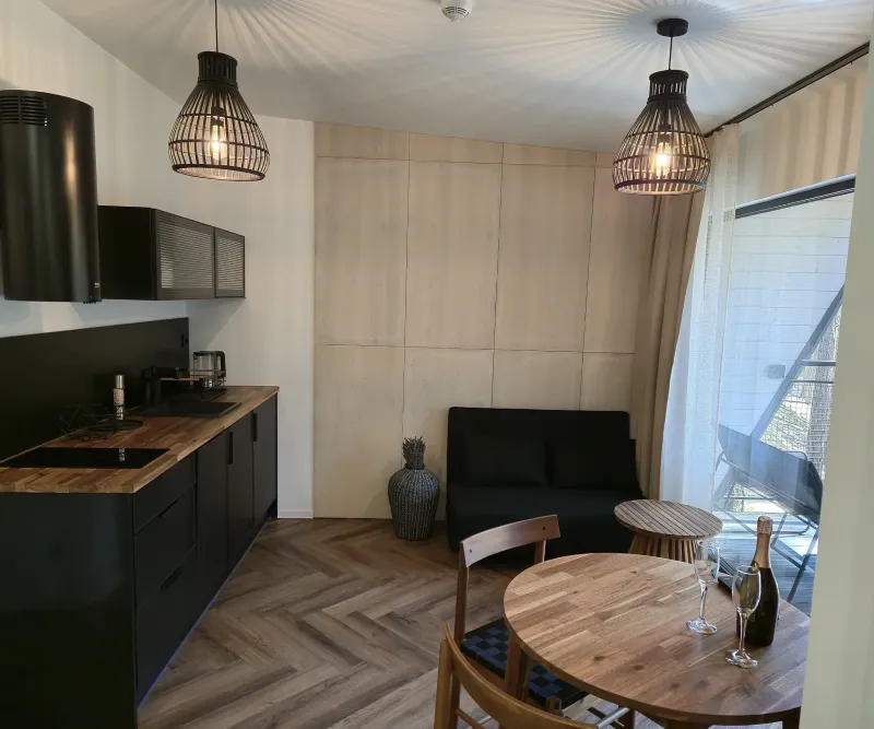 Salon z aneksem kuchennym