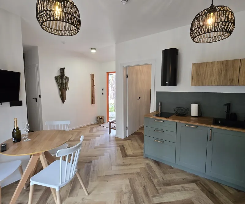 Aneks kuchenny w domku Fly House w Łebie